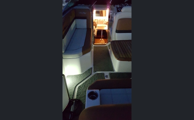 Sea Ray 265-kuva-5